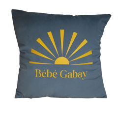 Velvet Pillows with Logo