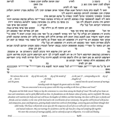 AHAVA Wedding Ketubah, Gold