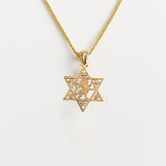 Lion of Judah Star of David, Silver 14Kt Gold Plated