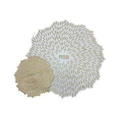 Drps Design Laser Cut Gold Matzah Cover & Afikomen Bag