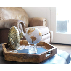 Gold & White Mova Globe