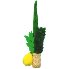 Lulav And Etrog Set For Kids
