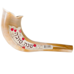 Children's Shofar (Plastic)